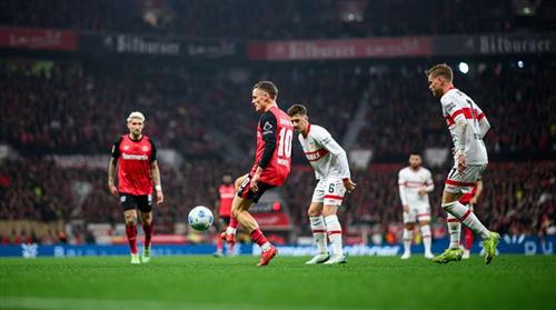 Disco Casino Home Remodeling Guide